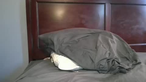 dbm1620 online show from 2, 11, 2025