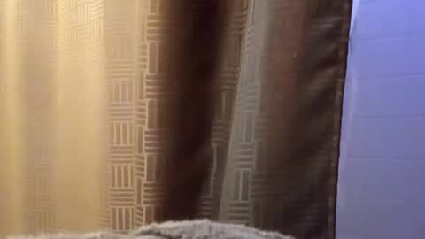 Snapshot of dbossxtina chatting on 12, 11, 2025 dbossxtina online show from 12, 11, 2025