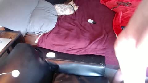 DCTeamFucker online show from 17, 4, 2026