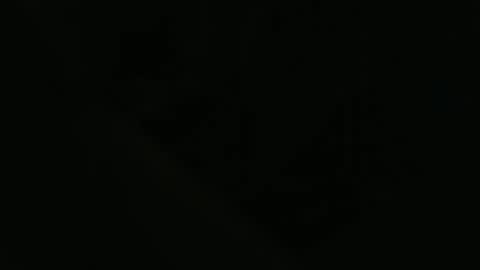 Snapshot of ddog1993 chatting on 22, 4, 2026 ddog1993 online show from 22, 4, 2026