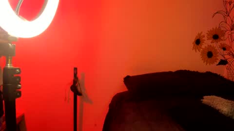 venus  adam online show from 4, 12, 2024