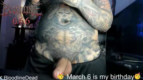    online show from 12, 2, 2026