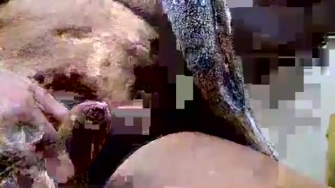 Dive Deep online show from 15, 12, 2025