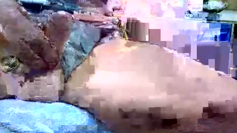 Snapshot of deepdiver3366 chatting on 19, 1, 2026 Dive Deep online show from 19, 1, 2026