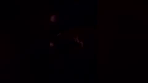 Snapshot of deerpark9 chatting on 19, 4, 2026 deerpark9 online show from 19, 4, 2026