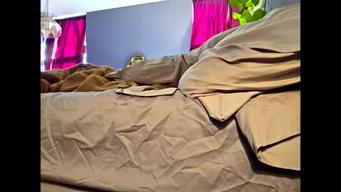 Snapshot of definitelymasterbating chatting on 17, 3, 2026 definitelymasterbating online show from 17, 3, 2026