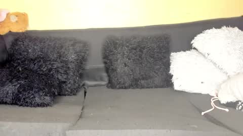 Snapshot of deli_la chatting on 28, 3, 2026 deli_la online show from 28, 3, 2026