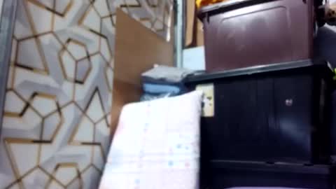 deliciousgirl975840 online show from 1, 6, 2026
