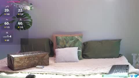 Kitty online show from 8, 3, 2026