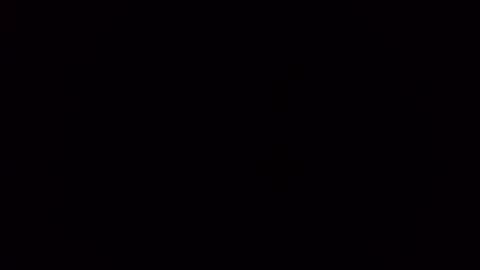 deliv_shopi online show from 9, 11, 2025