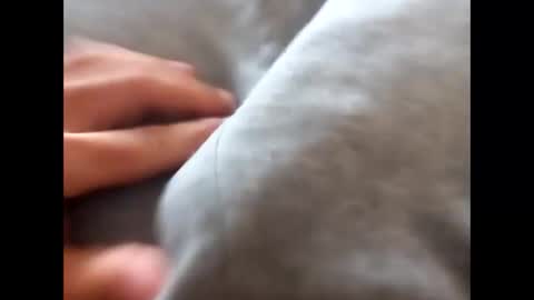 deliv_shopi online show from 17, 11, 2025