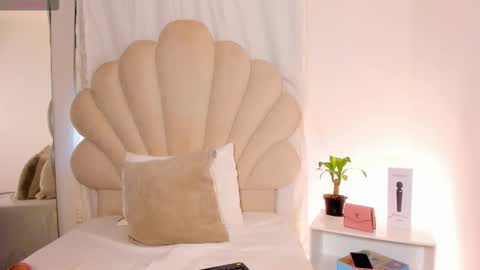   online show from 6, 2, 2026