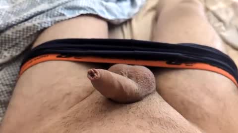 Snapshot of denis647 chatting on 17, 2, 2025 LilRoach online show from 17, 2, 2025