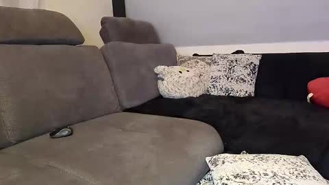 Snapshot of denise_brad chatting on 12, 11, 2025 Denise and Brad online show from 12, 11, 2025