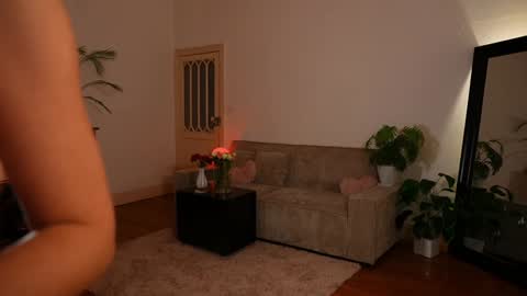 Denise online show from 28, 2, 2026