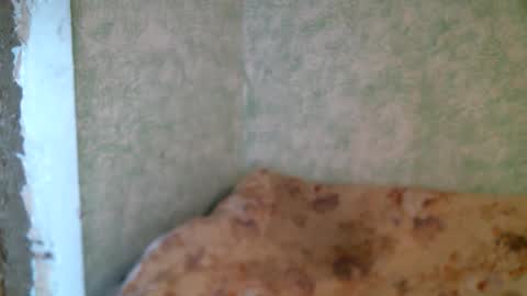 Snapshot of dennisxcarol chatting on 23, 4, 2026 DennisXCarol online show from 23, 4, 2026