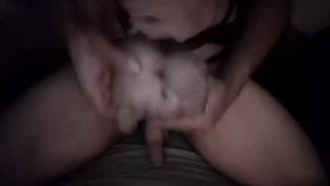 desadewasabffreakswitch online show from 16, 1, 2026