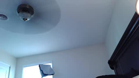 DutchMasterFox online show from 1, 10, 2025