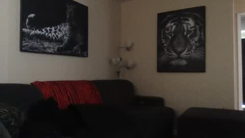 detectivearcor online show from 27, 1, 2025