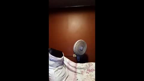 devensingh online show from 20, 3, 2026