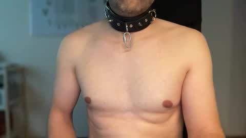 Snapshot of devswiss chatting on 17, 3, 2026 DevSwiss online show from 17, 3, 2026