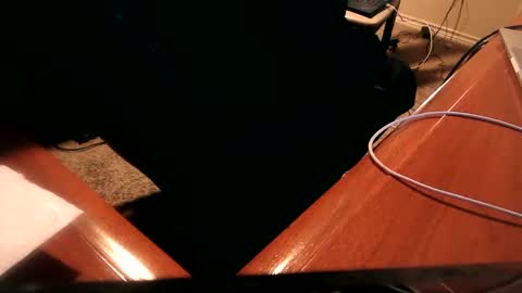 dfwgonewrong online show from 2, 1, 2025