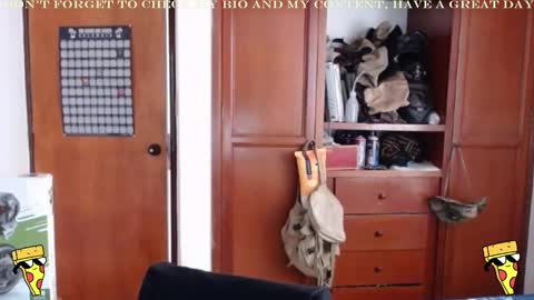 Snapshot of diamond_bruno chatting on 26, 12, 2024 Bruno Diamond online show from 26, 12, 2024