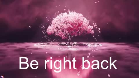 Snapshot of diamond_daphne chatting on 16, 5, 2026 Daphne Sophia Vega online show from 16, 5, 2026