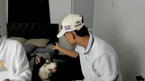 dick online show from 2, 12, 2025