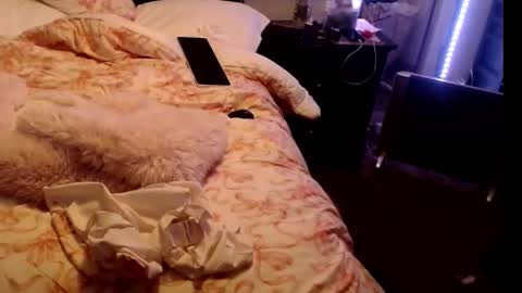 Snapshot of dickgiggler chatting on 24, 2, 2026 Sparkx online show from 24, 2, 2026