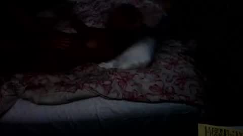 Snapshot of dickgiggler chatting on 17, 7, 2026 Sparkx online show from 17, 7, 2026