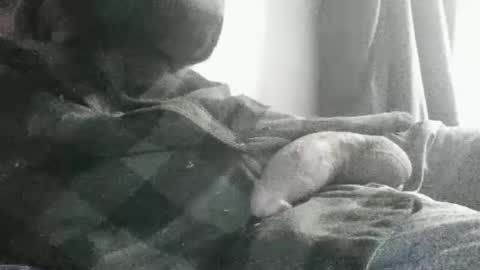 Snapshot of dickseenormous chatting on 13, 7, 2026 dick online show from 13, 7, 2026