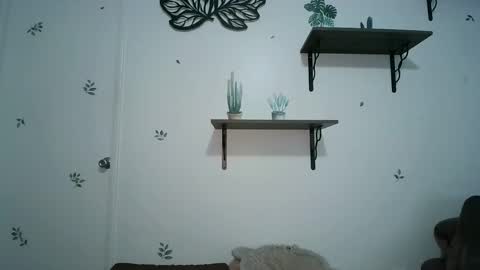 dickslayerdan online show from 25, 1, 2025