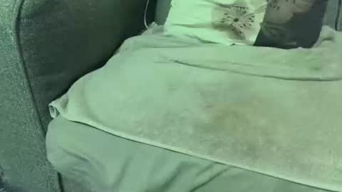 Snapshot of dickwack4u chatting on 10, 1, 2026 dickwack4u online show from 10, 1, 2026