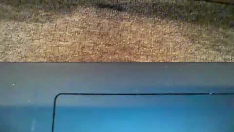 Snapshot of dicky_doo2 chatting on 5, 1, 2025 Bigmick online show from 5, 1, 2025