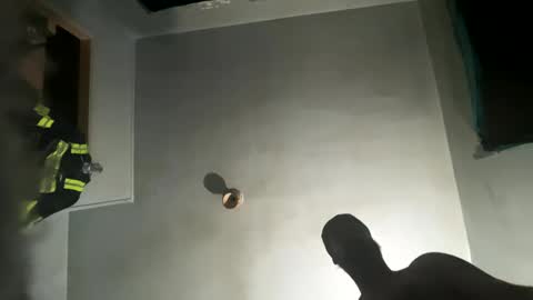 dickybigball online show from 9, 10, 2025