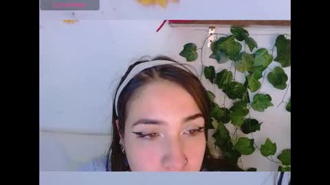 Dicmonlu online show from 16, 12, 2025