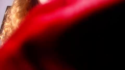 Diane online show from 26, 2, 2025