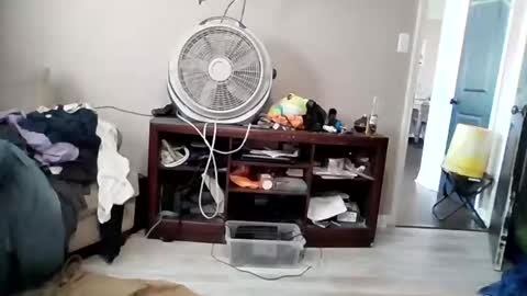 Snapshot of dig_bick_38 chatting on 19, 3, 2026 Daddy online show from 19, 3, 2026