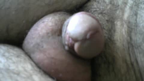 Snapshot of dilaradagci chatting on 11, 1, 2025 Bob online show from 11, 1, 2025