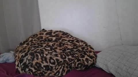 Sofie online show from 22, 1, 2025