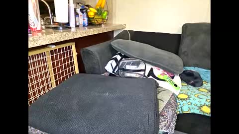 Snapshot of dimepiecexxx chatting on 15, 5, 2026 Sofie online show from 15, 5, 2026