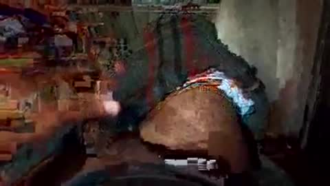 Snapshot of dino_7711 chatting on 22, 11, 2025 dyno online show from 22, 11, 2025