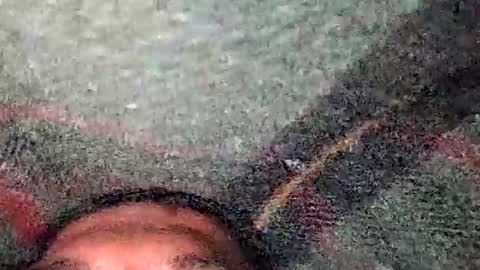 Snapshot of dino_7711 chatting on 19, 12, 2025 dyno online show from 19, 12, 2025