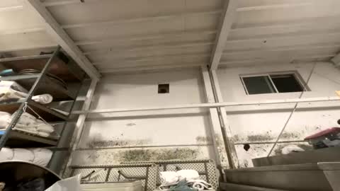 Snapshot of dishtv4all chatting on 27, 10, 2025 sexyguy online show from 27, 10, 2025