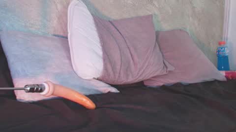 Snapshot of dixie_grey1 chatting on 5, 1, 2026 Sofia online show from 5, 1, 2026