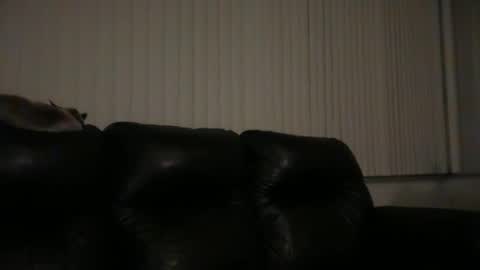 Snapshot of dj_chaterbate chatting on 31, 3, 2026 DJ Chaterbate online show from 31, 3, 2026