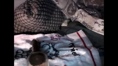 djangodave569829 online show from 4, 10, 2025