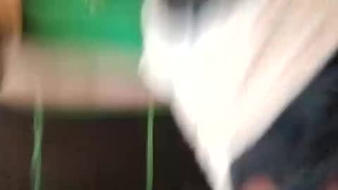 djdrex420 online show from 15, 3, 2026