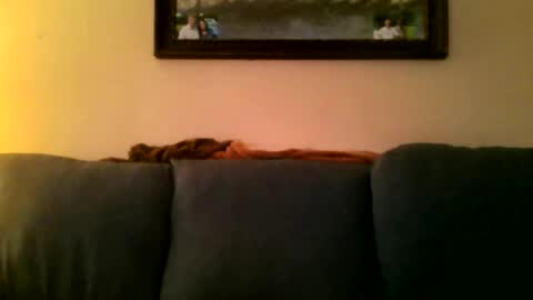 Snapshot of djfreddyg chatting on 6, 3, 2026 djfreddyg online show from 6, 3, 2026